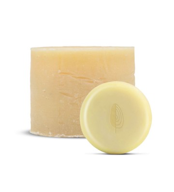 [GLA] Soap Rich
